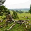 09 b Schluchensteig Etappe 4 - 6